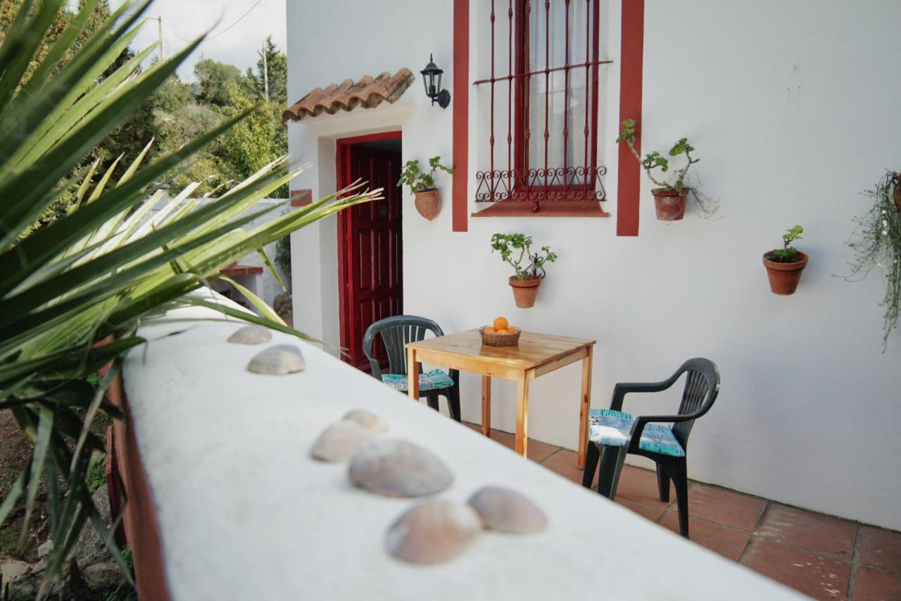 Casa Montecote Eco Resort Vejer de la Frontera Zewnętrze zdjęcie