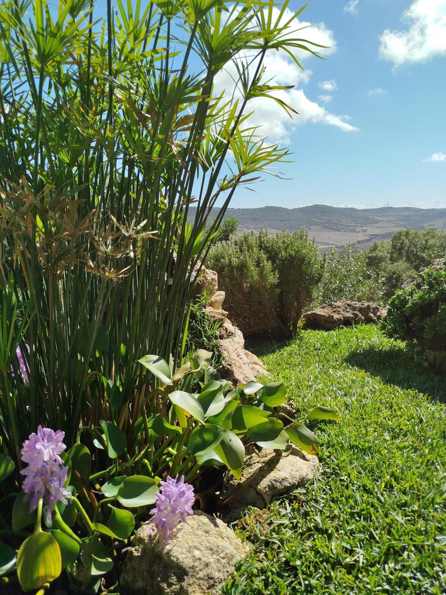 Casa Montecote Eco Resort Vejer de la Frontera Zewnętrze zdjęcie