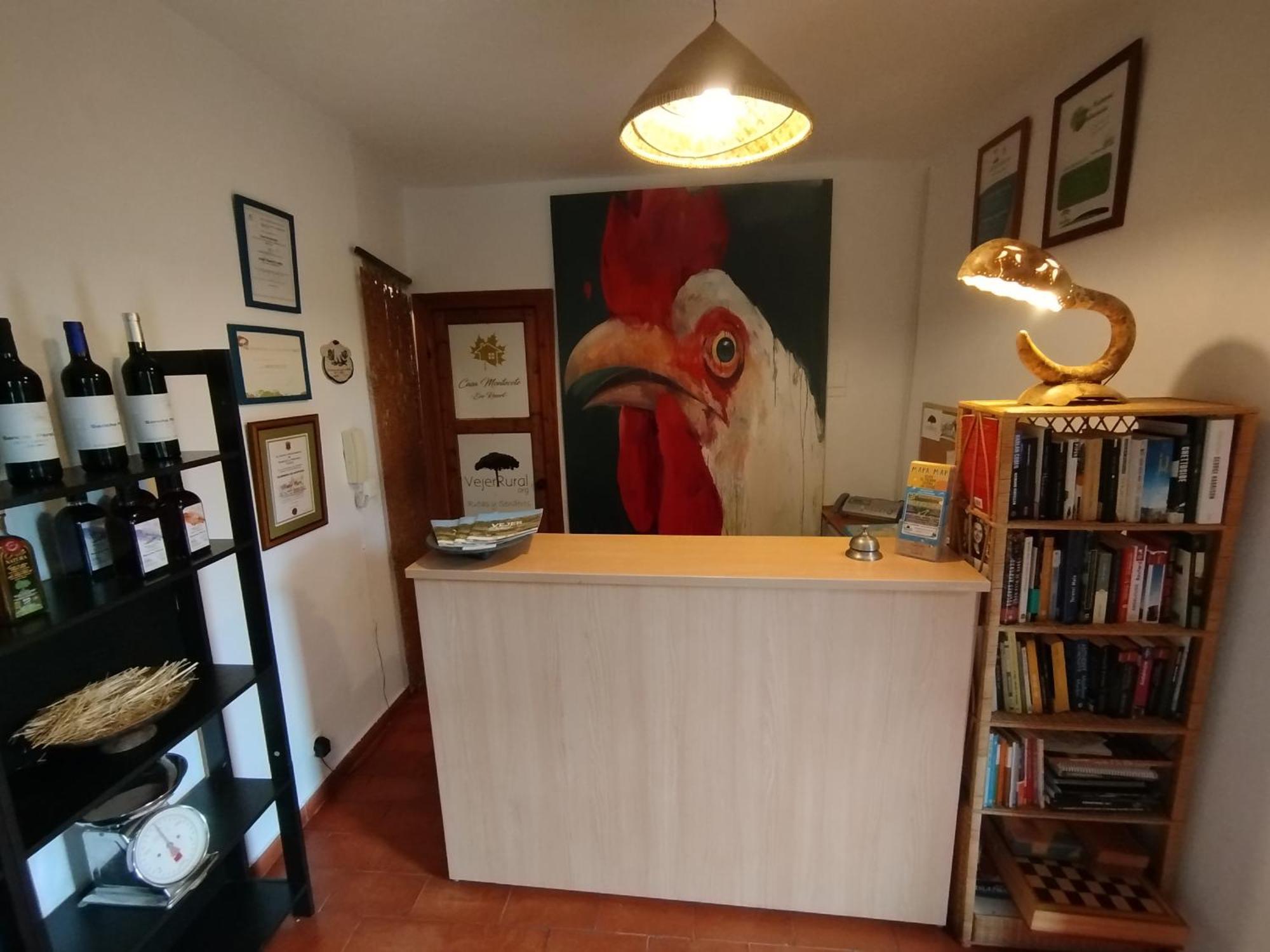 Casa Montecote Eco Resort Vejer de la Frontera Zewnętrze zdjęcie