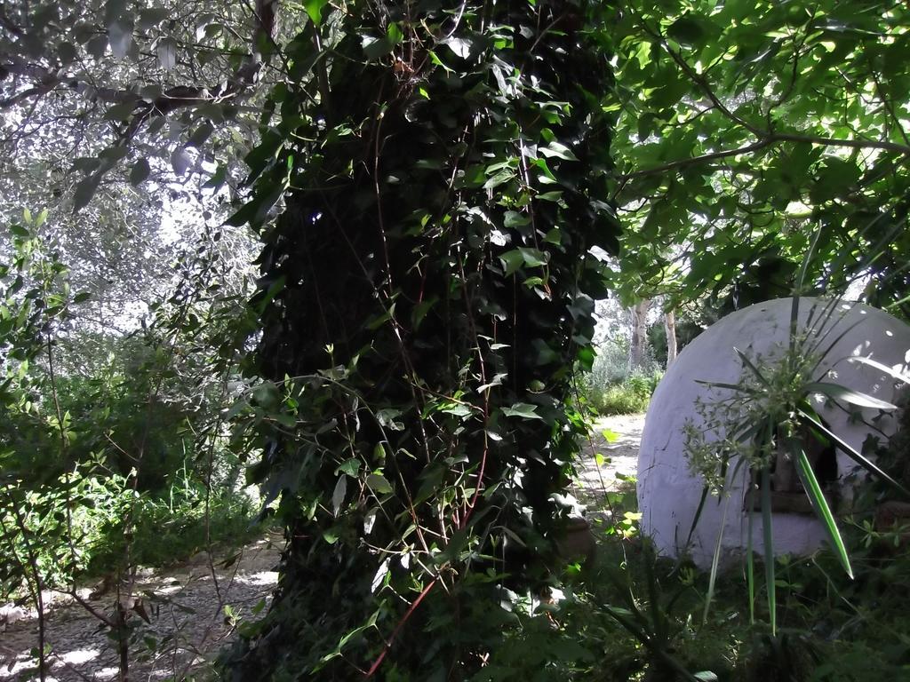 Casa Montecote Eco Resort Vejer de la Frontera Zewnętrze zdjęcie